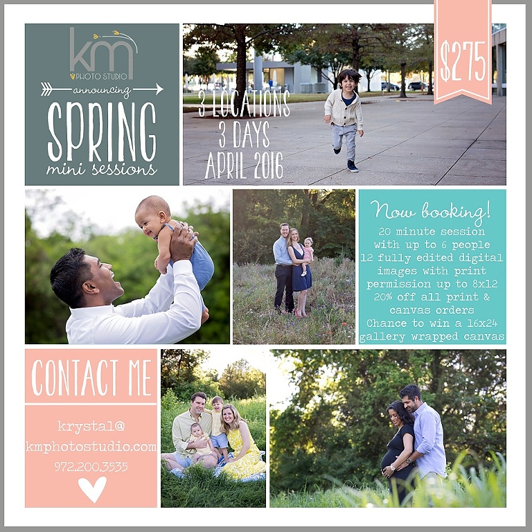 Spring Mini Sessions 2016 Dallas, Spring Mini Session Plano, Spring Mini Session, Richardson Spring Mini Session, Mini Session 2016, KM Photo Studio