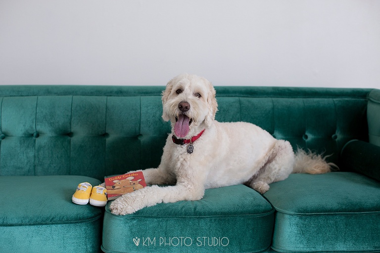 Dallas Maternity Photographer, White Rock Maternity Photographer, Plano Maternity Photographer, Plano Maternity Photography, Dallas Maternity Photographer, KM Photo Studio, DFW Maternity Photographer, Highland Park Maternity Photographer