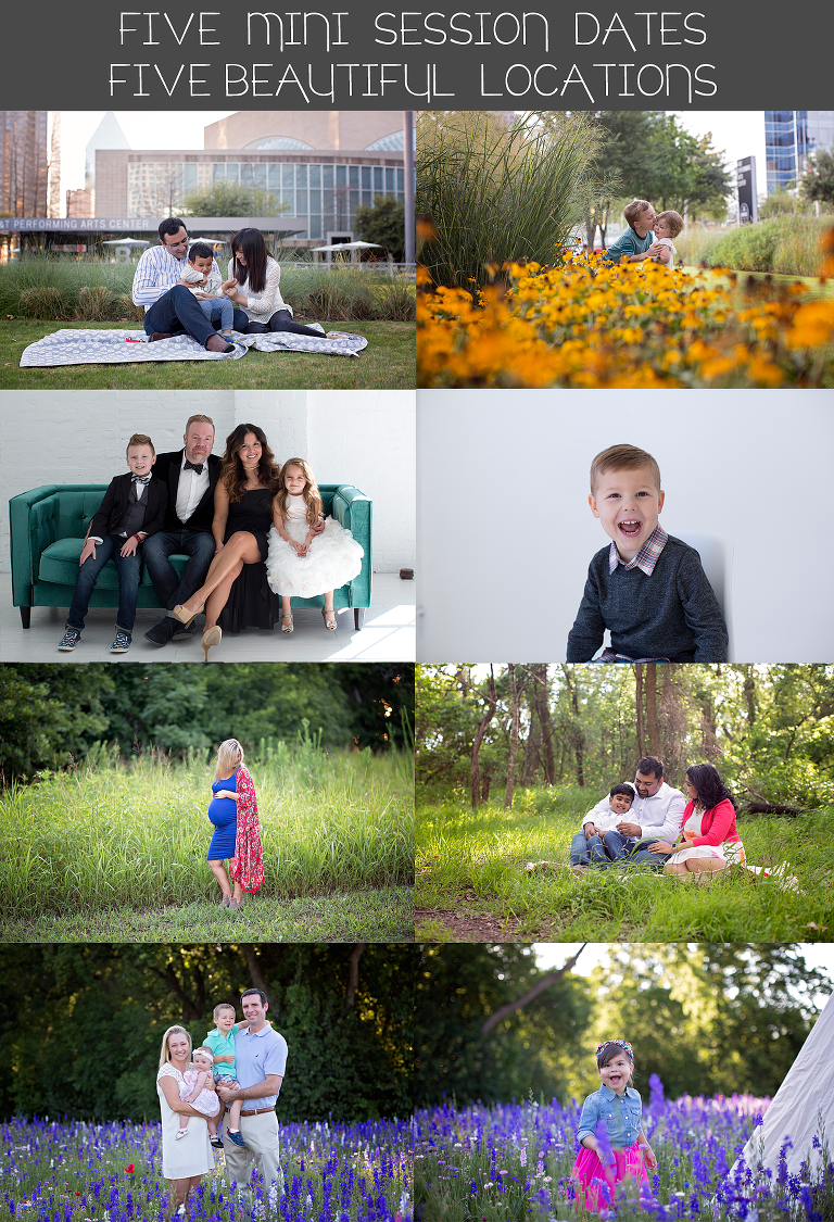 Dallas Spring Mini Session 2019, Plano Spring Mini Session 2019, Richardson Spring Mini Session 2019, KM Photo Studio, DFW Spring Mini Session 2019, Spring Mini, Dallas Mini Session, Richardson Mini Session, Plano Mini Session, Bluebonnet Mini Session, DFW Bluebonnet Mini Session